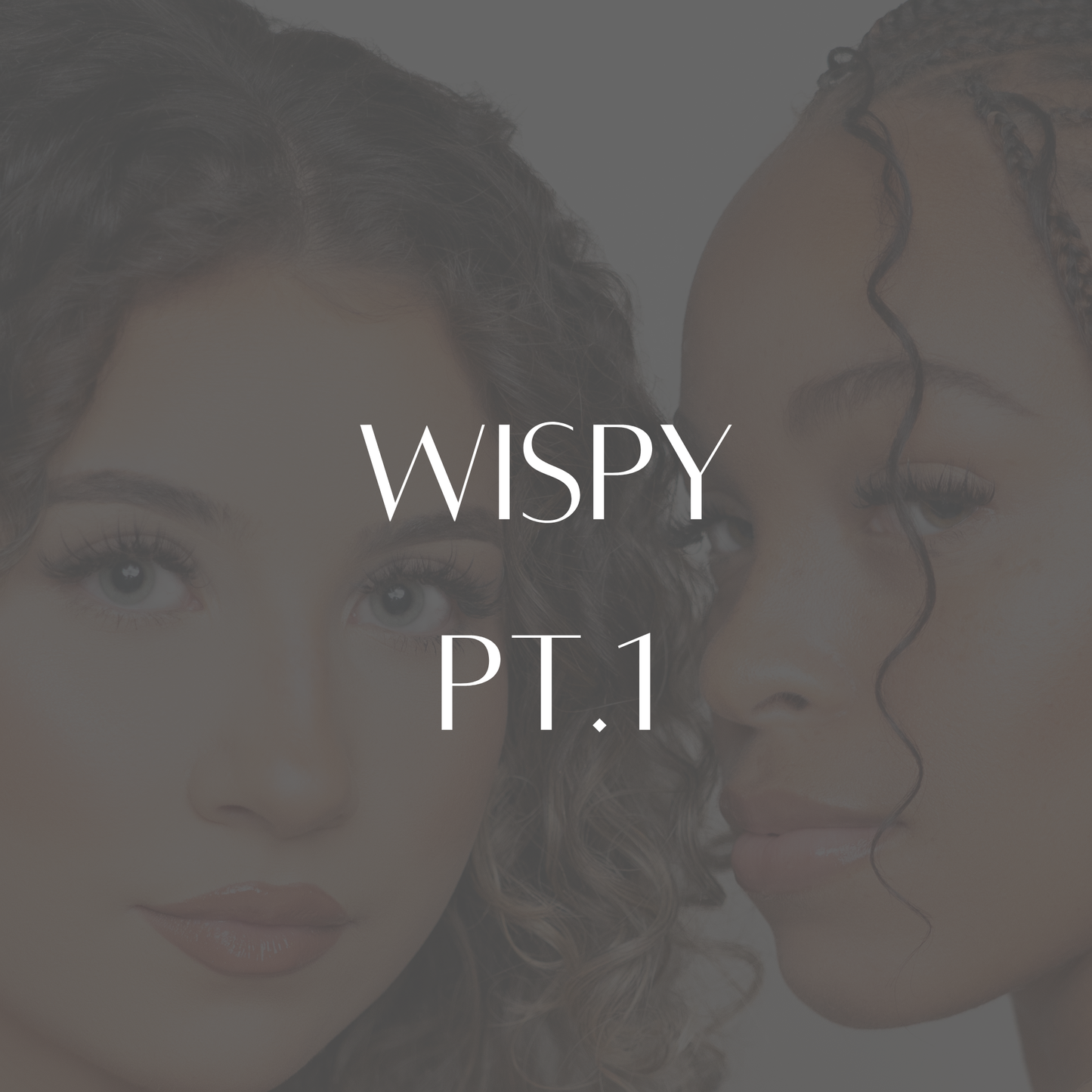 Wispy Lash Guide pt 1 (Pre-Order)